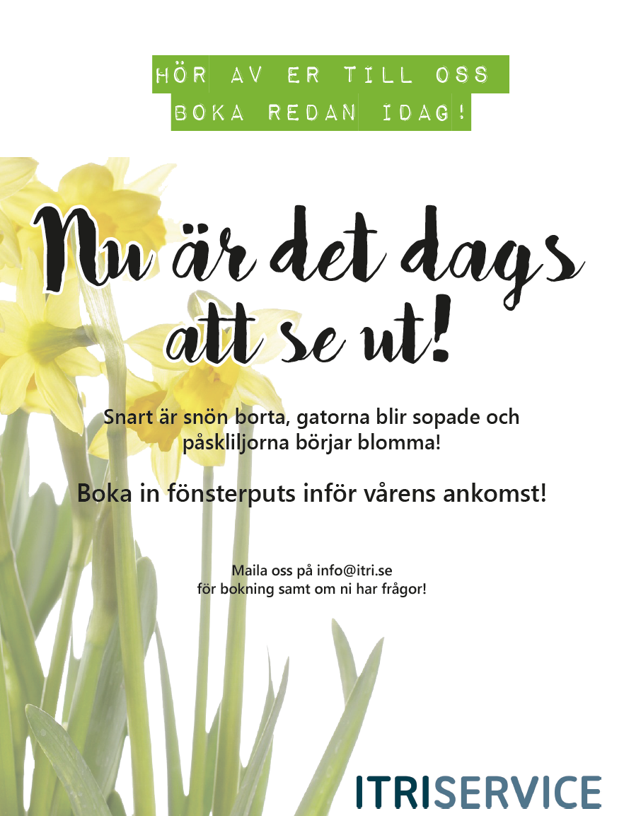 fönsterputs